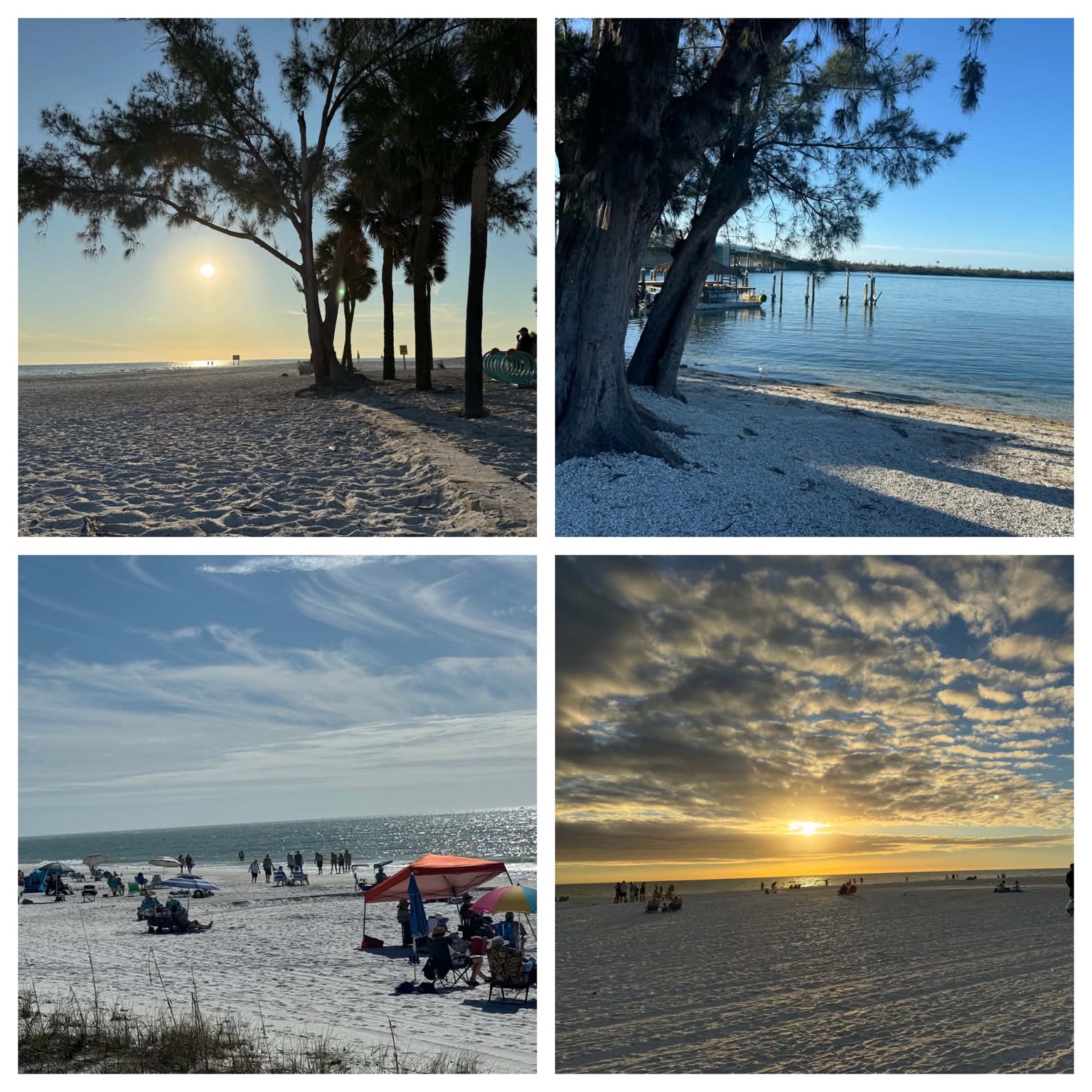Four coastal outing photos showing beaches, a waterfront view, and a sunset